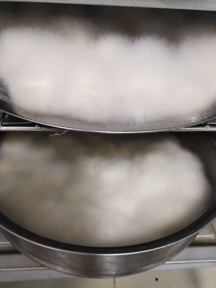 自制豆腐乳