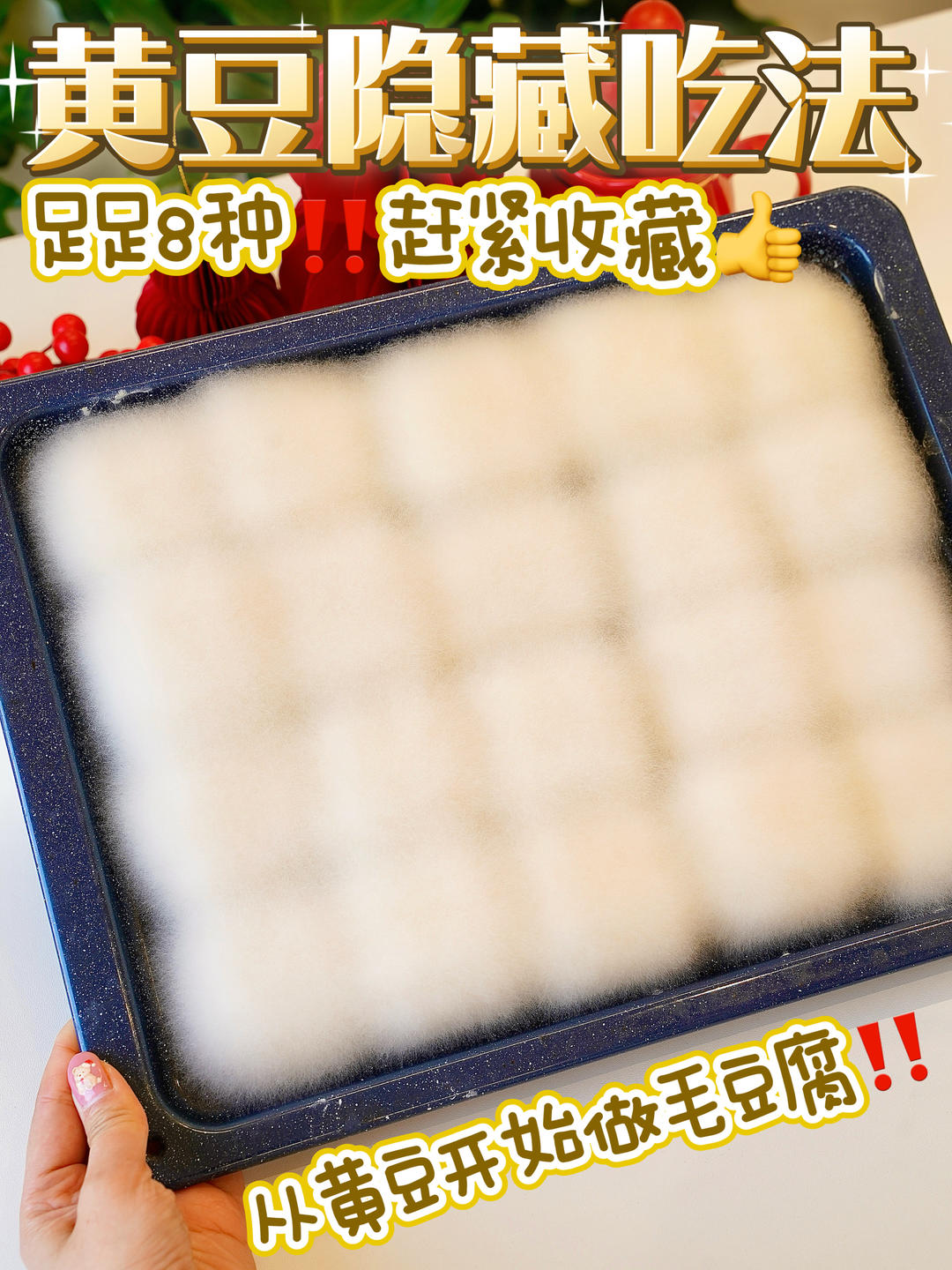 黄豆一家满门忠烈！足足8种快收藏👋