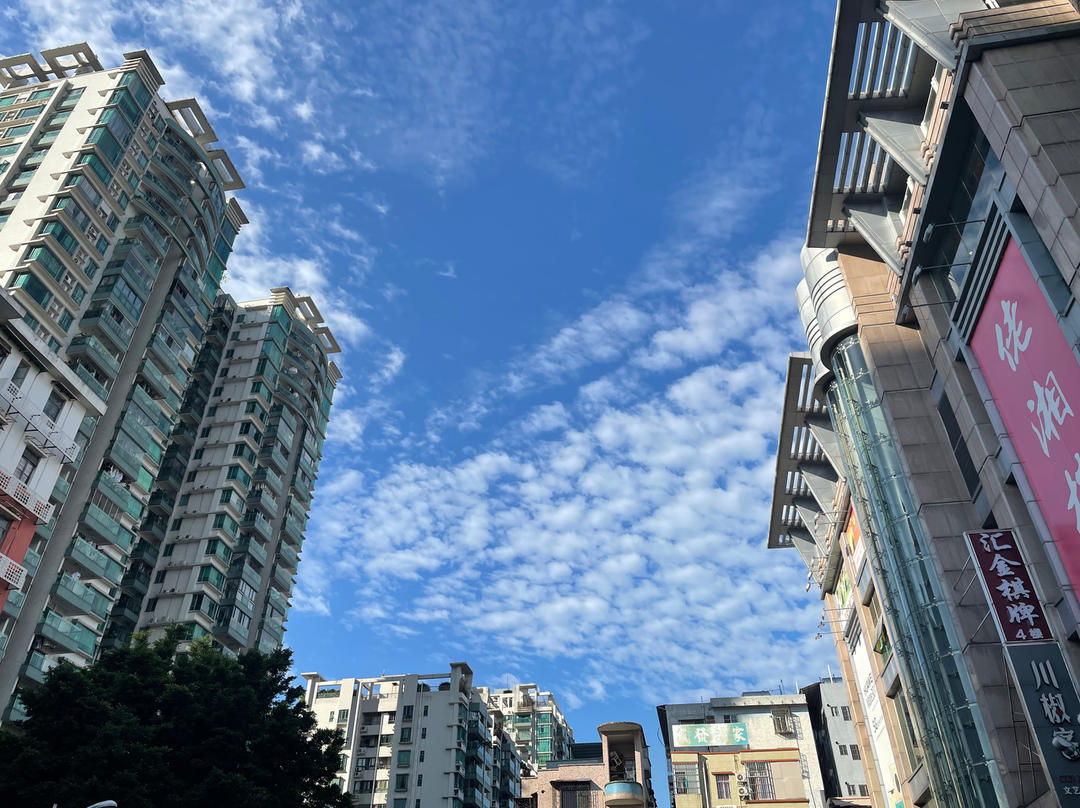 一只小兔纸吖吖吖呀