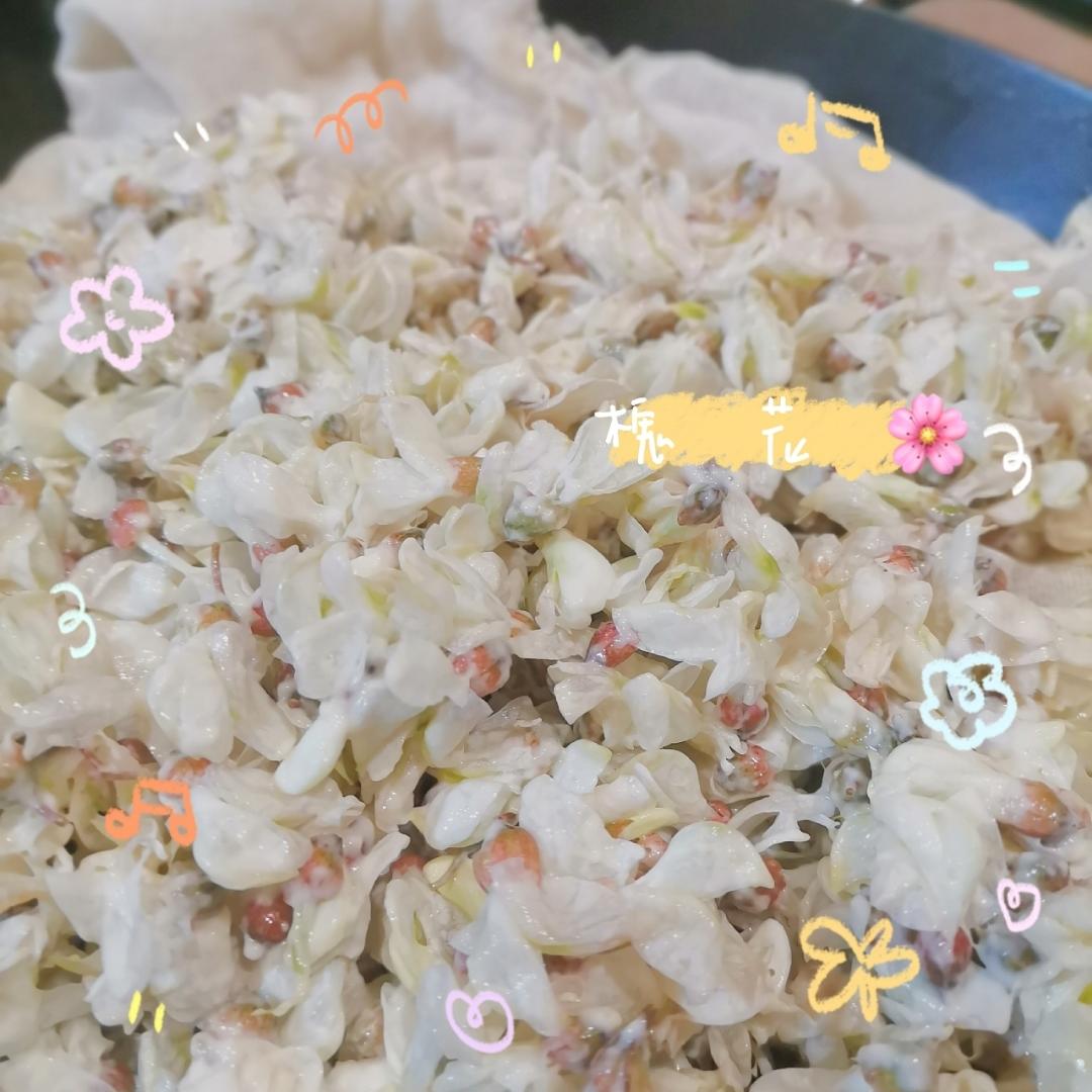 春季时令菜之蒸槐花