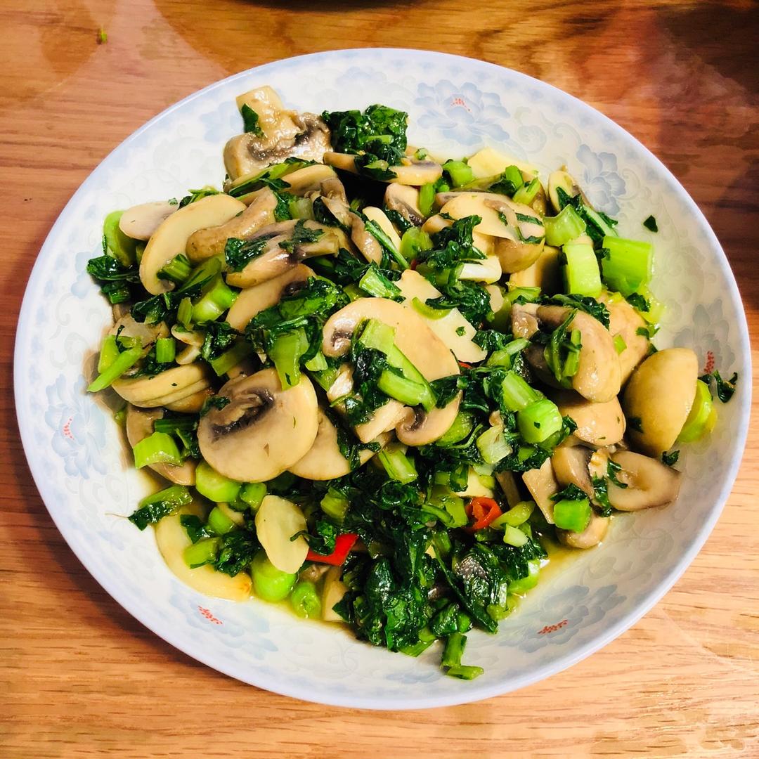 西湖边的小蘑菇做的手捏菜炒蘑菇