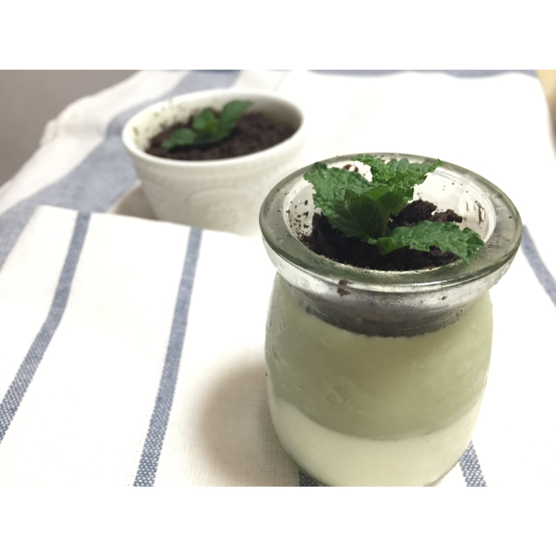 盆栽布丁