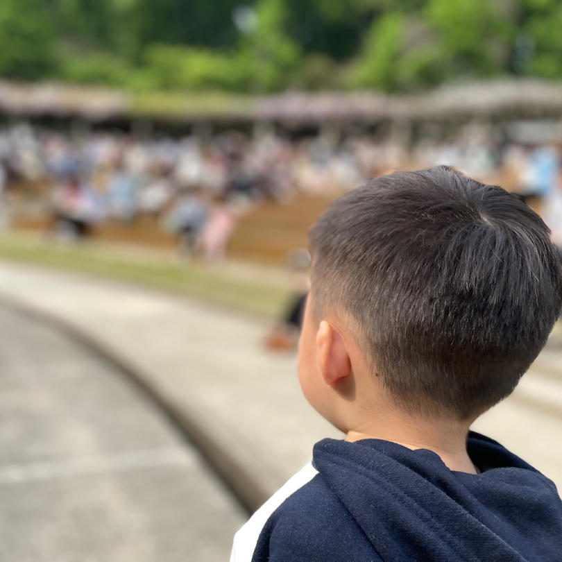 谁谁谁的whowhowho