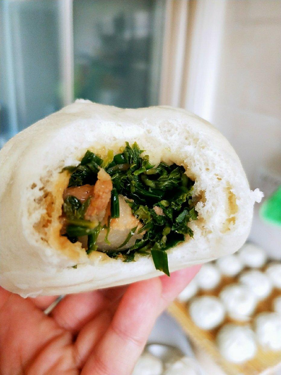 野菜(三苜渣)包子