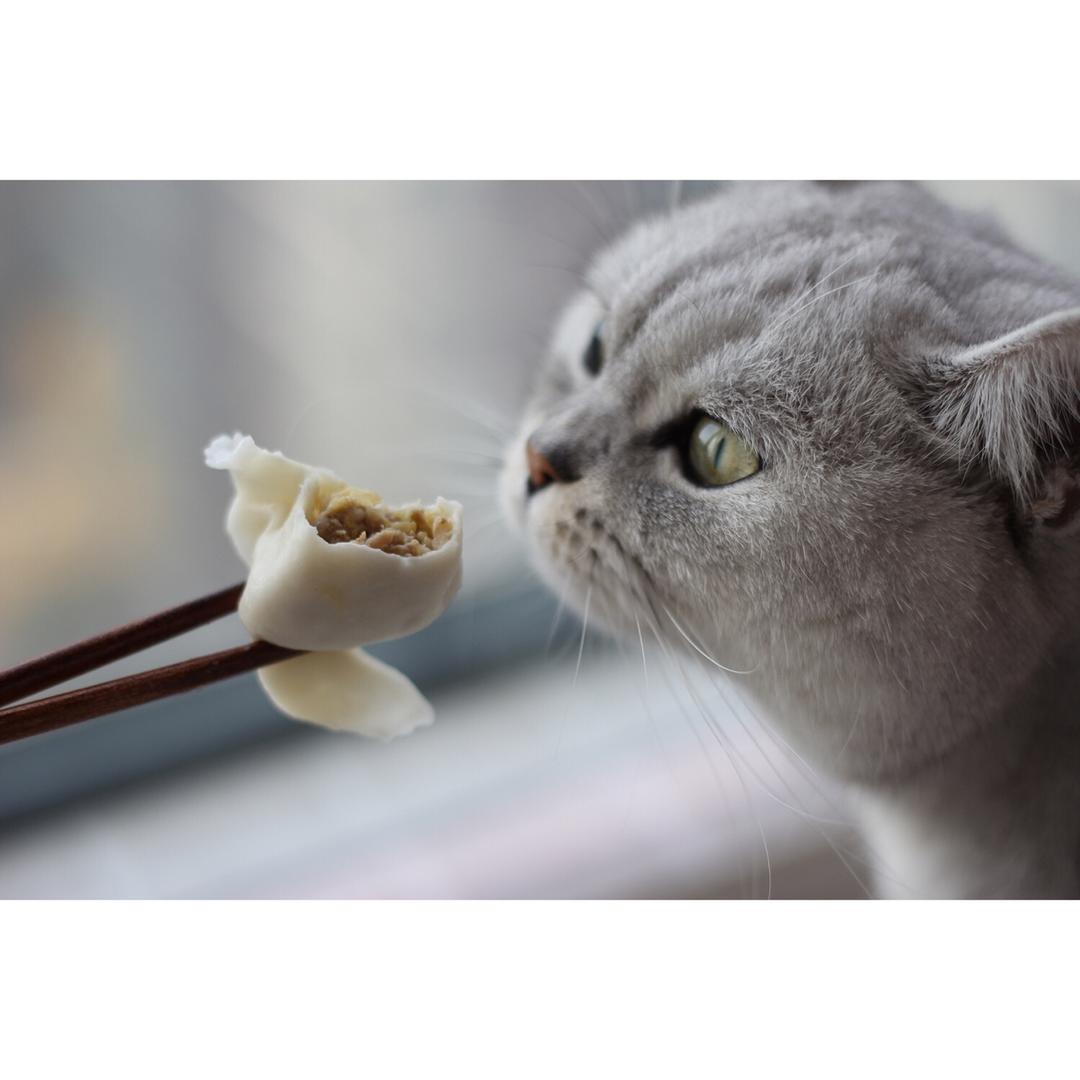 韭菜猪肉饺子(最简单最好吃又最多汁的饺子)