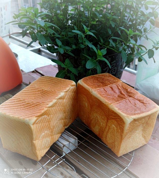 牛奶中种土司（轻松出手套膜）