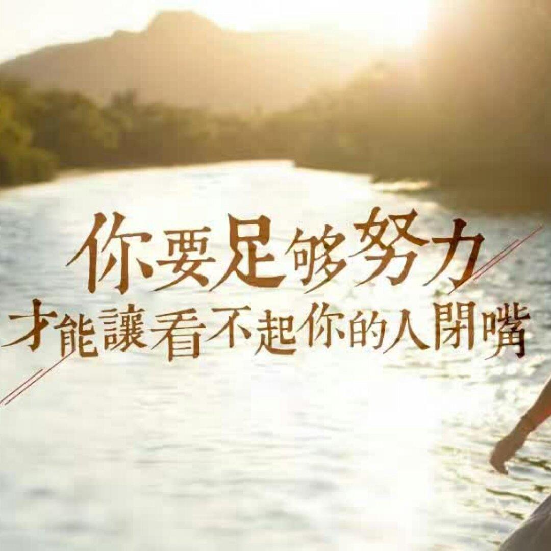 猫猫嘀欧美范儿