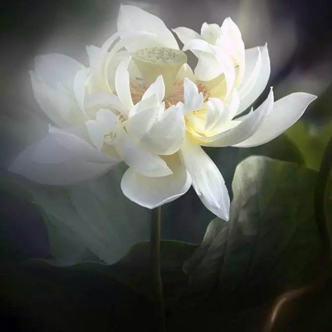 手机用户6015_a8y9