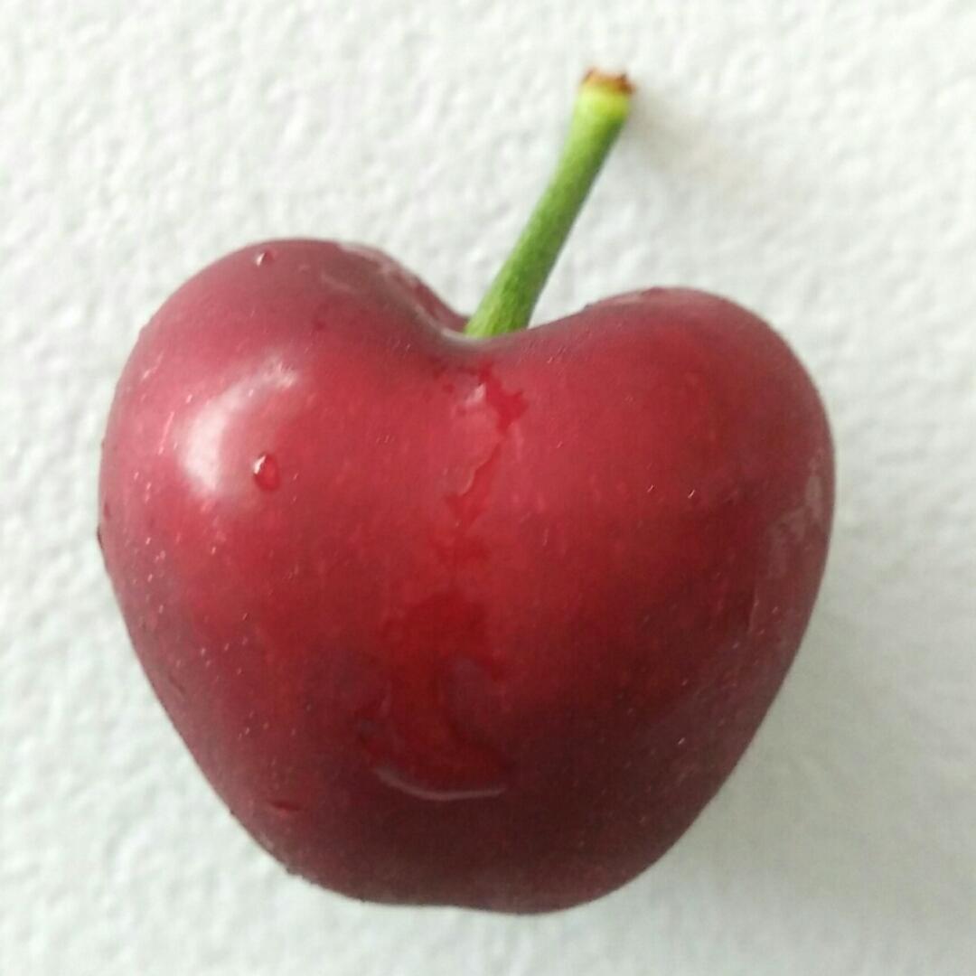 菜菜小蜜蜂