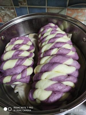 紫薯香肠花卷的做法 步骤6