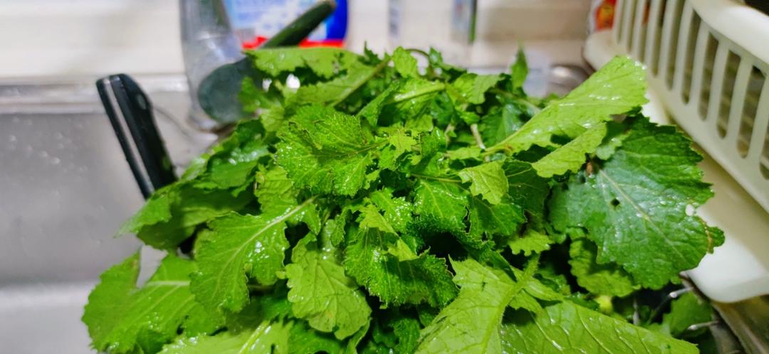 秘制野菜腌菜
