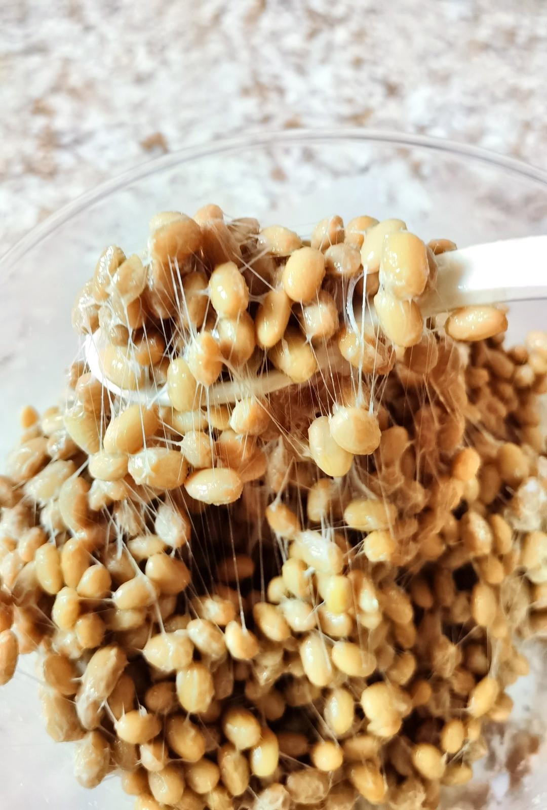 自制纳豆（酸奶机，面包机，烤箱版）