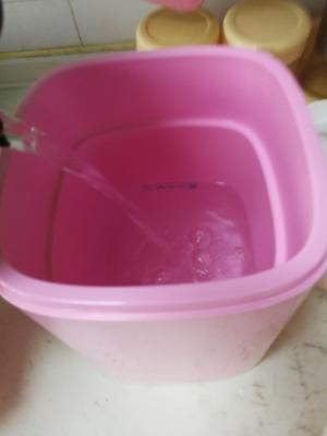 自制手工原味酸奶的做法 步骤5