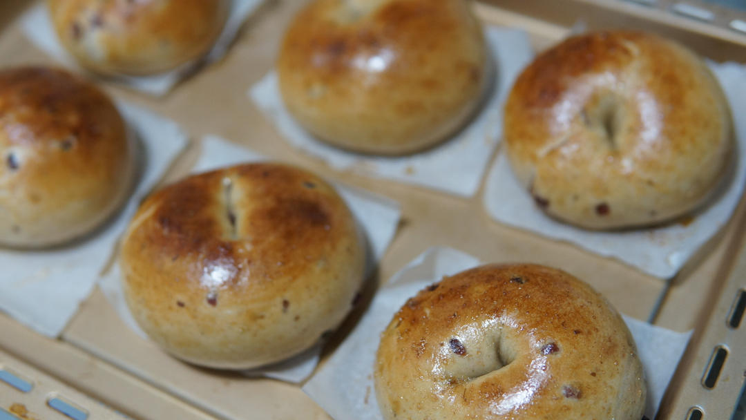 来吃圈圈吧！——全麦蔓越莓贝果