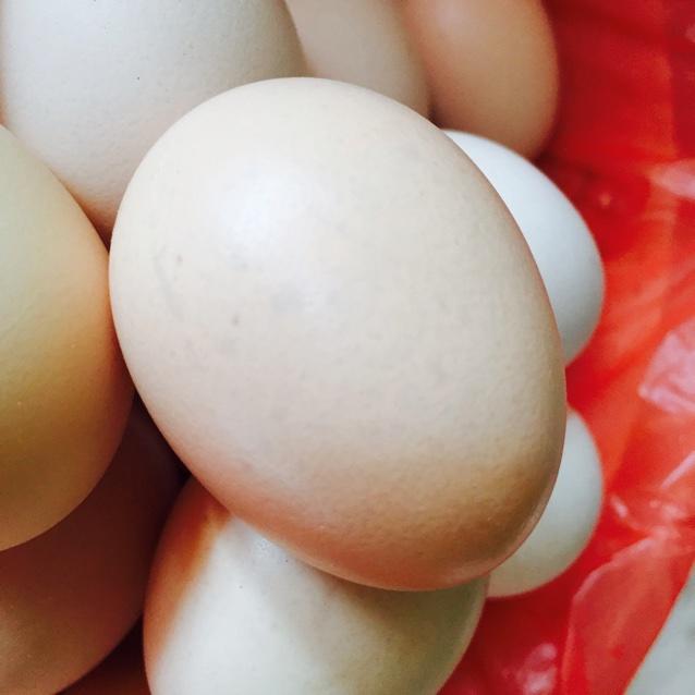 如何挑新鲜的鸡蛋的做法