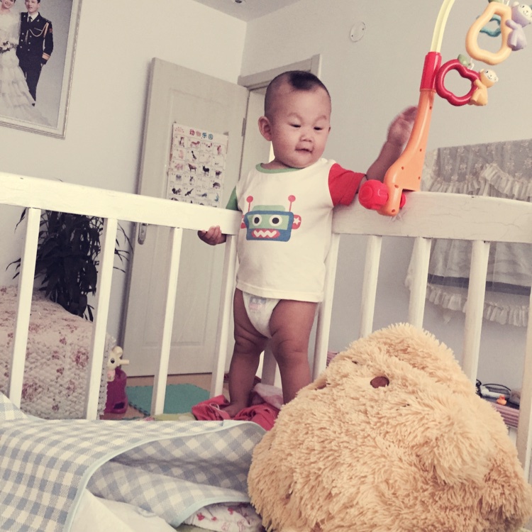 杨小咩的吃货时光