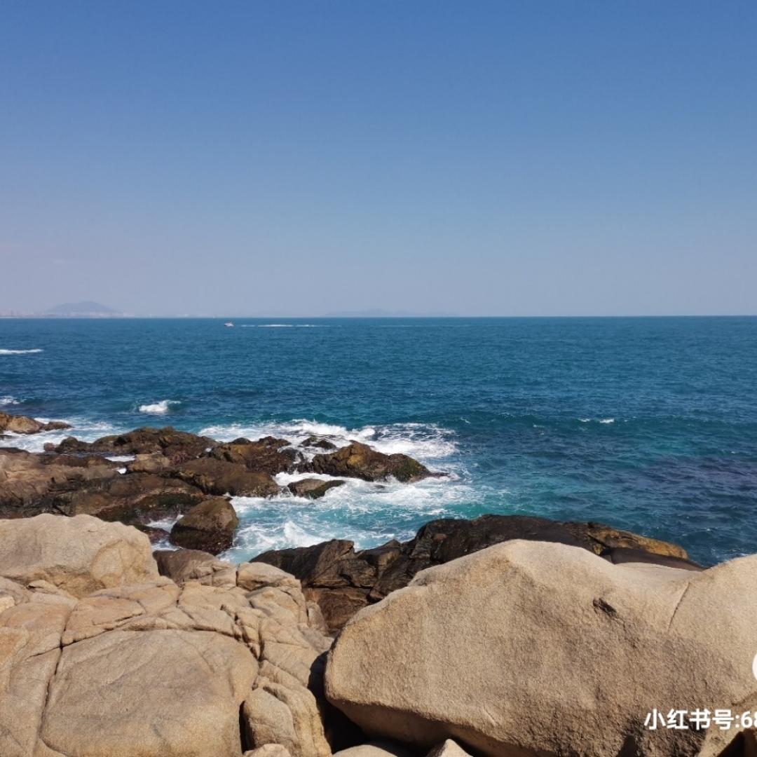 努力学做饭的小赵