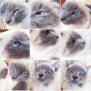 我只吃饭不做饭哈哈哈哈