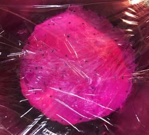 少女心爆棚的粉红蝴蝶结面包-叠法超细详解的做法 步骤3