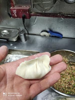 芹菜猪肉馅饺子的做法 步骤4
