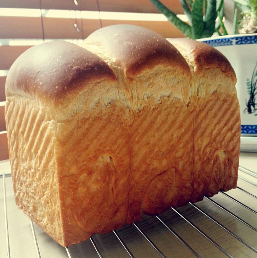 万用面包胚（冷藏中种法）