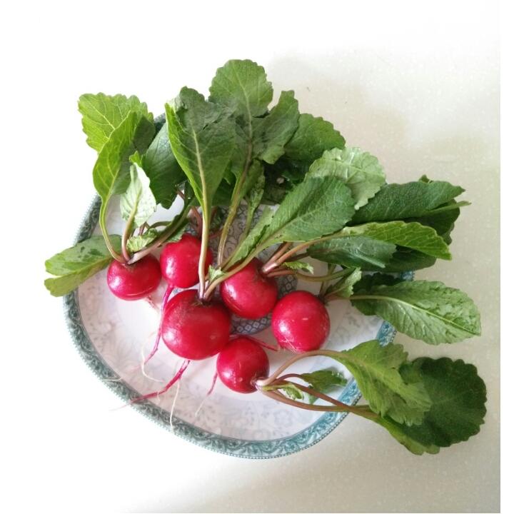 4月2日#晚餐612017年4月2日#洋花萝卜(觉得应该是杨花萝卜)android