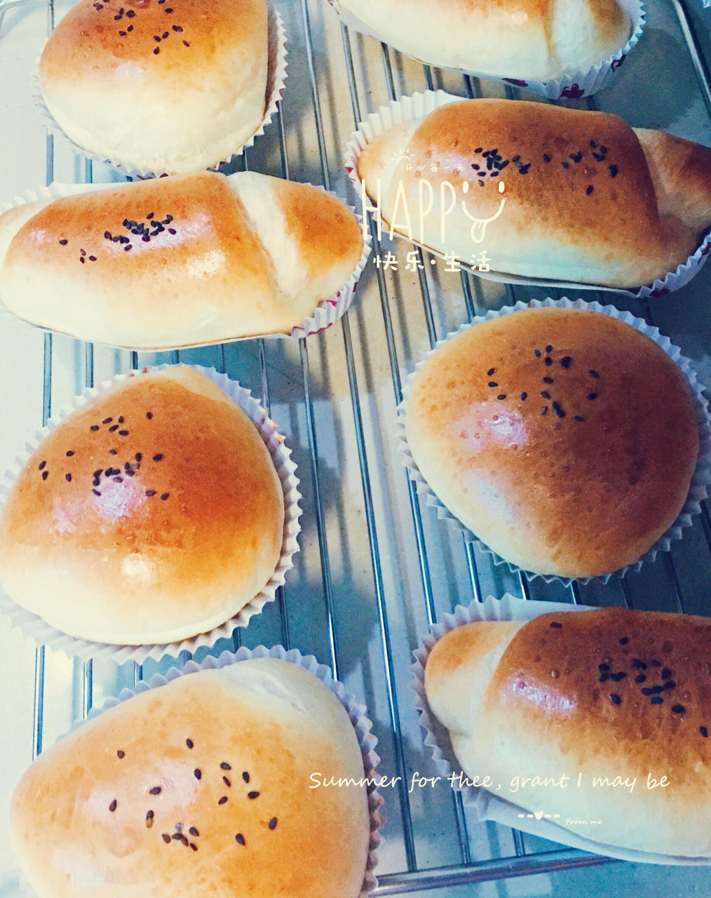 100%中种冷藏发酵