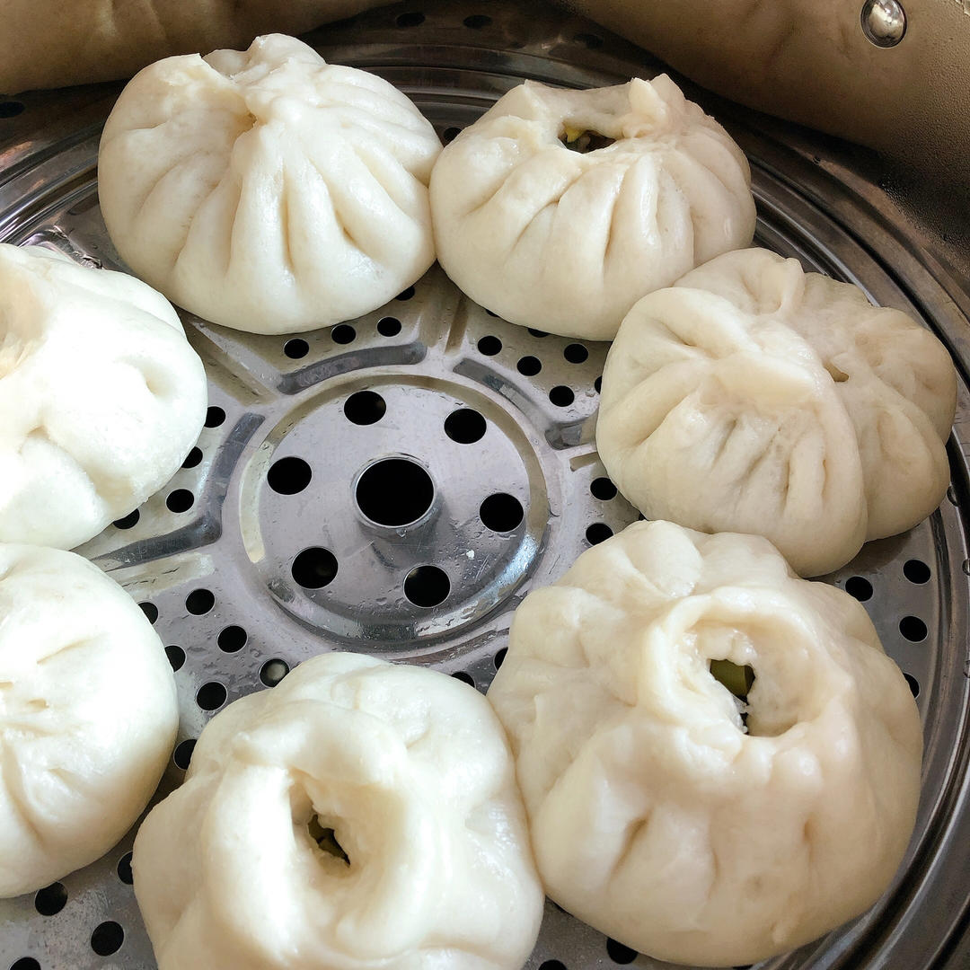 一次发酵肉包子