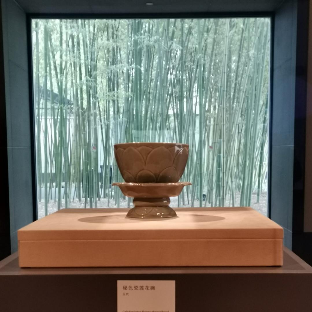 小月豆豆