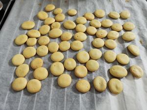 鸡蛋小饼干（宝宝辅食:溶豆基础上的升级版）的做法 步骤13