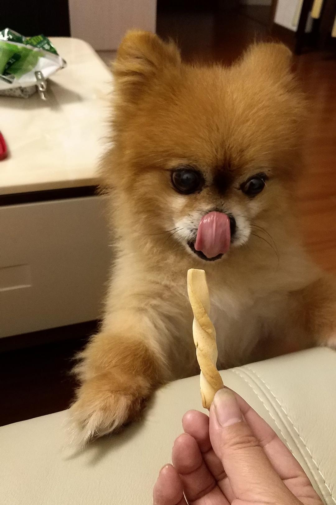 手机用户4557_26al做的宠物狗狗饼干零食(磨牙阿拉棒)