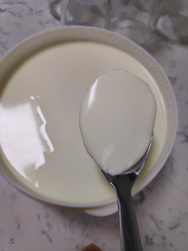 自制酸奶（德运奶粉）的做法