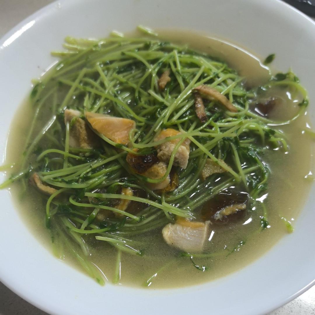 上汤豆苗