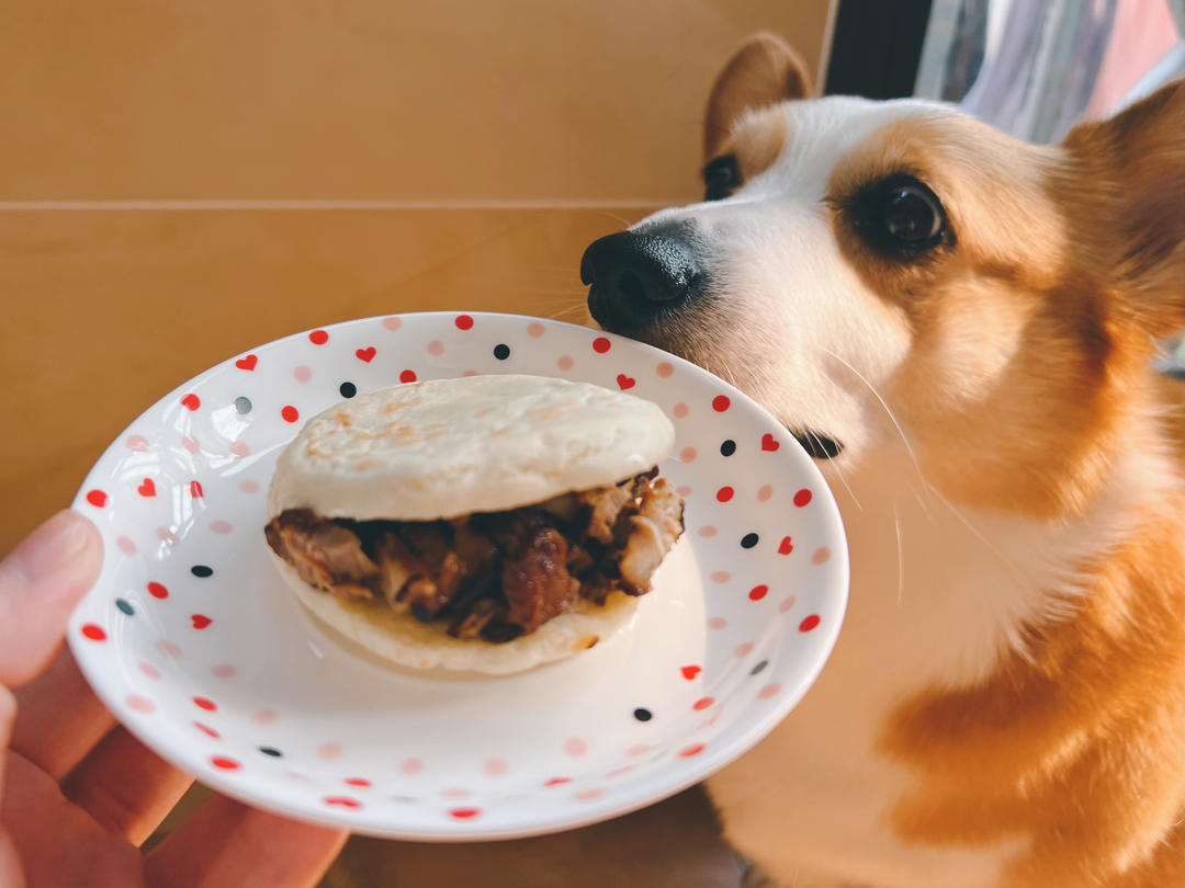 肉夹馍(白吉馍的制作)