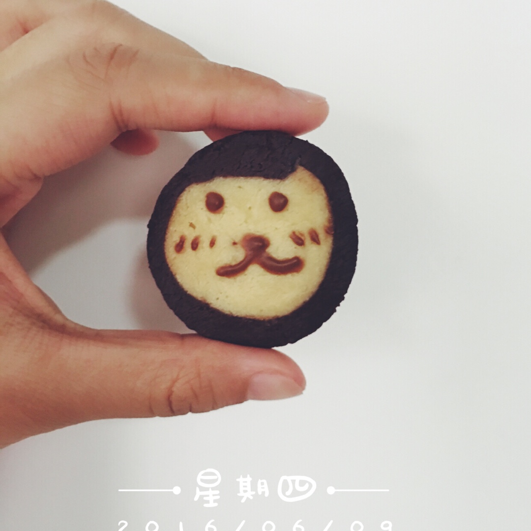 萌哭了的可可狮子饼干