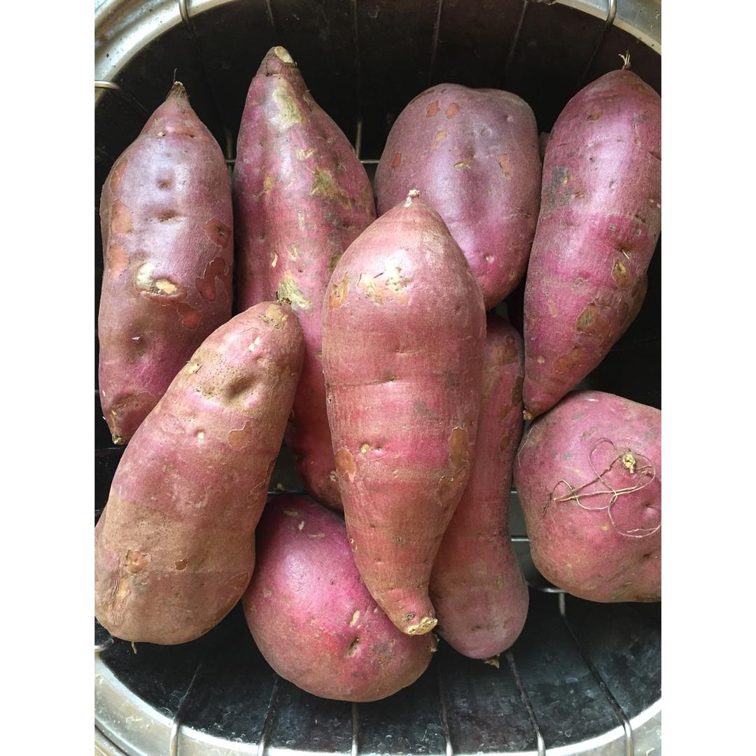 红薯干（文怡）