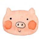 爱美食不吃辣得pig