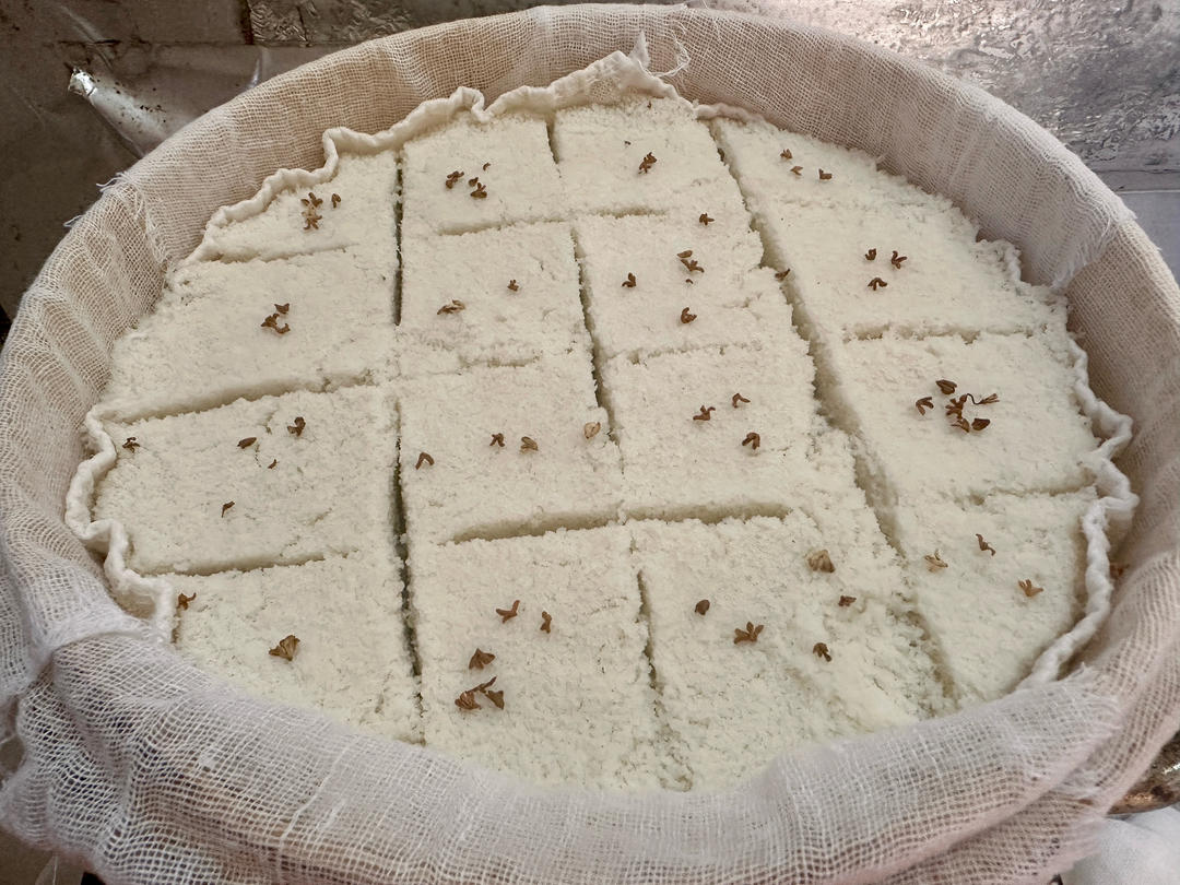 人人都会做的桂花糕+豆沙松糕