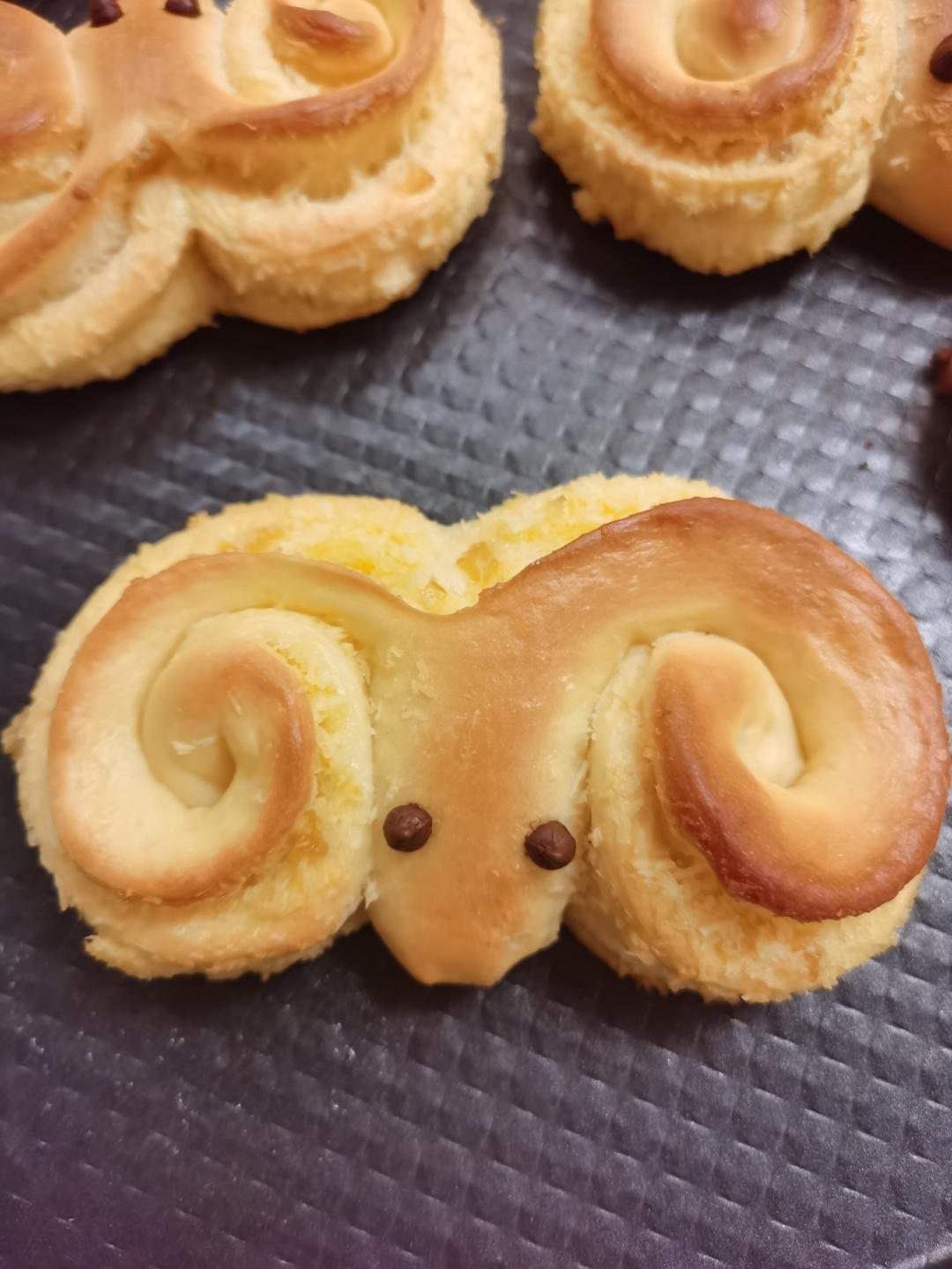 椰蓉小羊or椰蓉小章鱼🐙