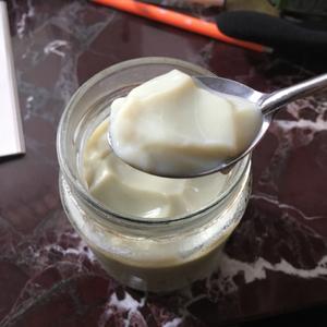 自制香滑牛奶布丁（低脂饱腹）的做法 步骤4