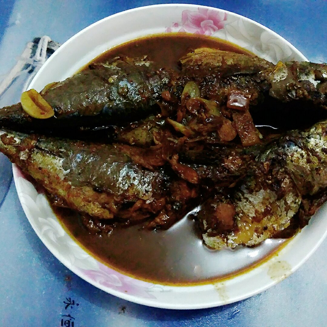 识漪-小石子儿做的红烧青占鱼