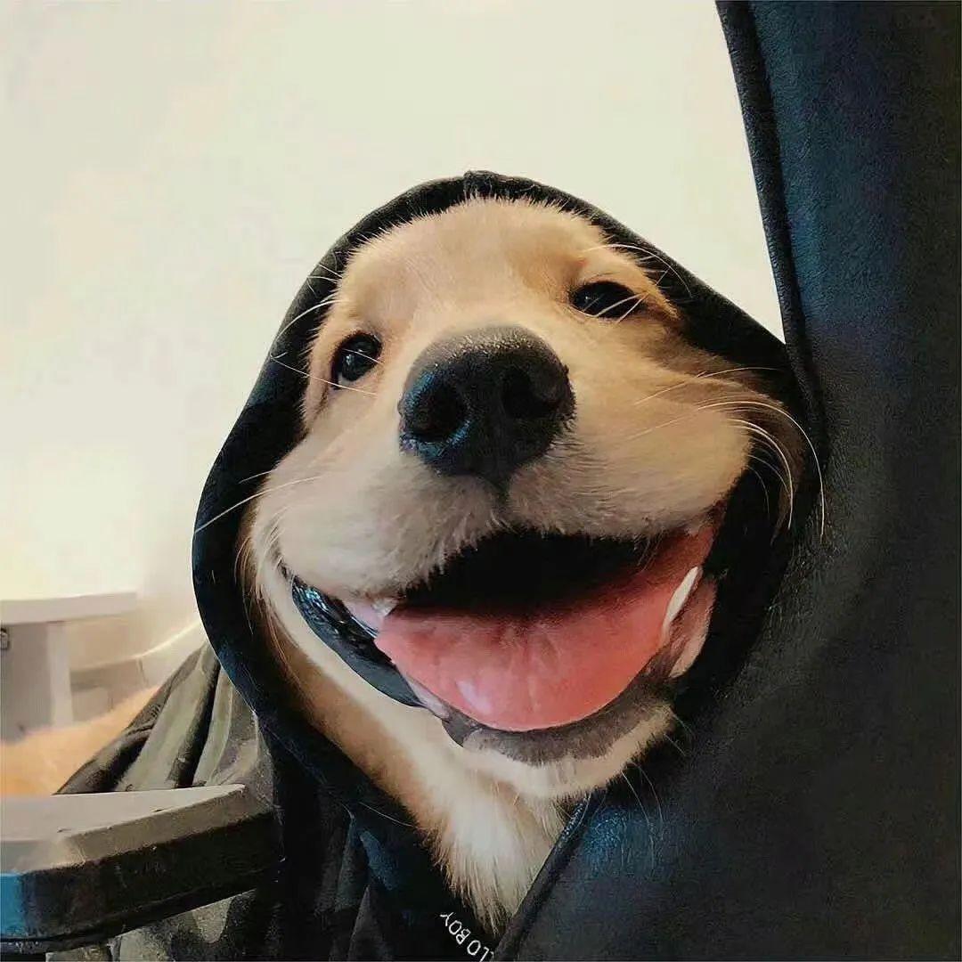 阿磊爱吃饭