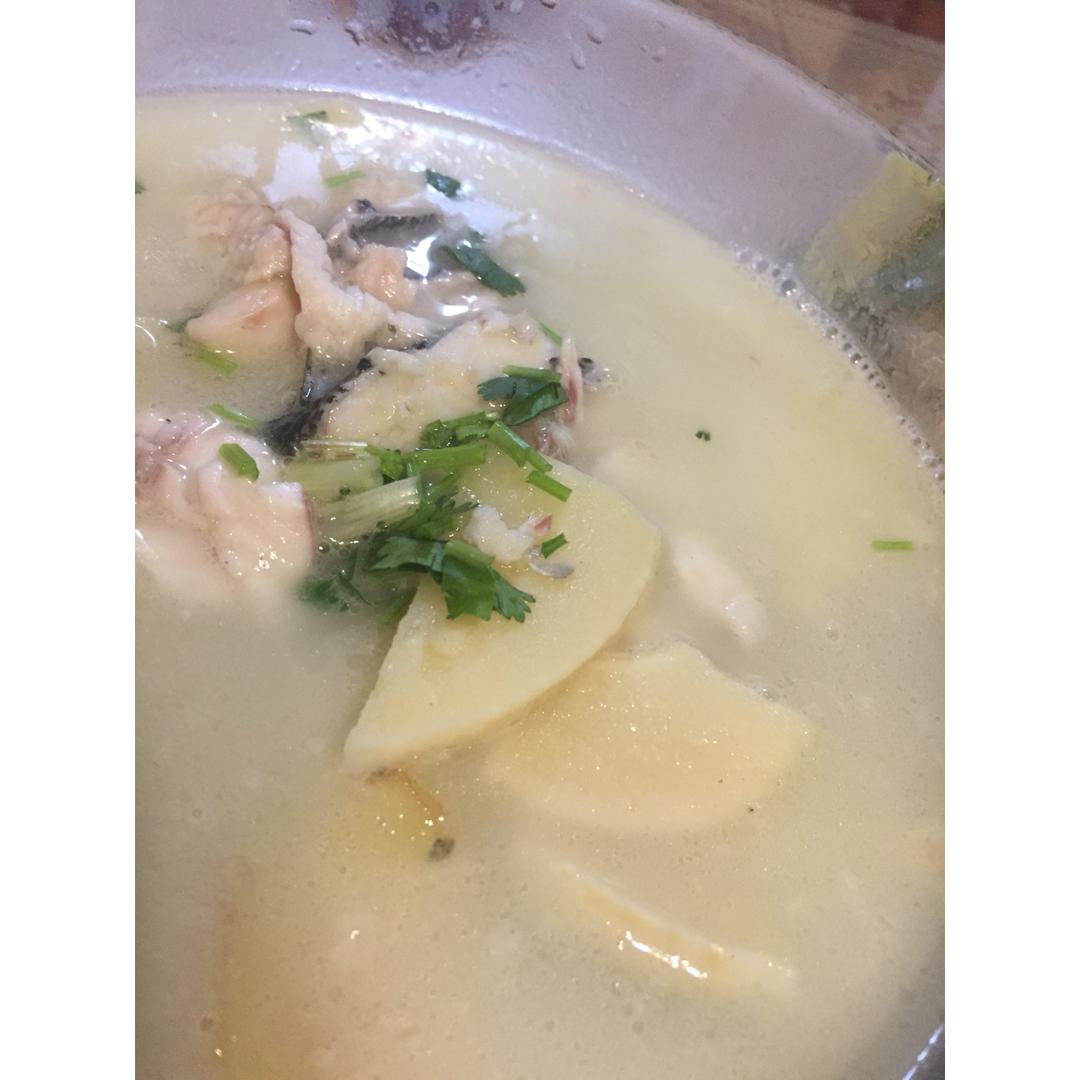 黑鱼片汤