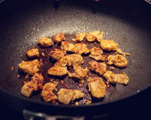 印度咖喱鸡chicken tikka masala的做法 步骤5