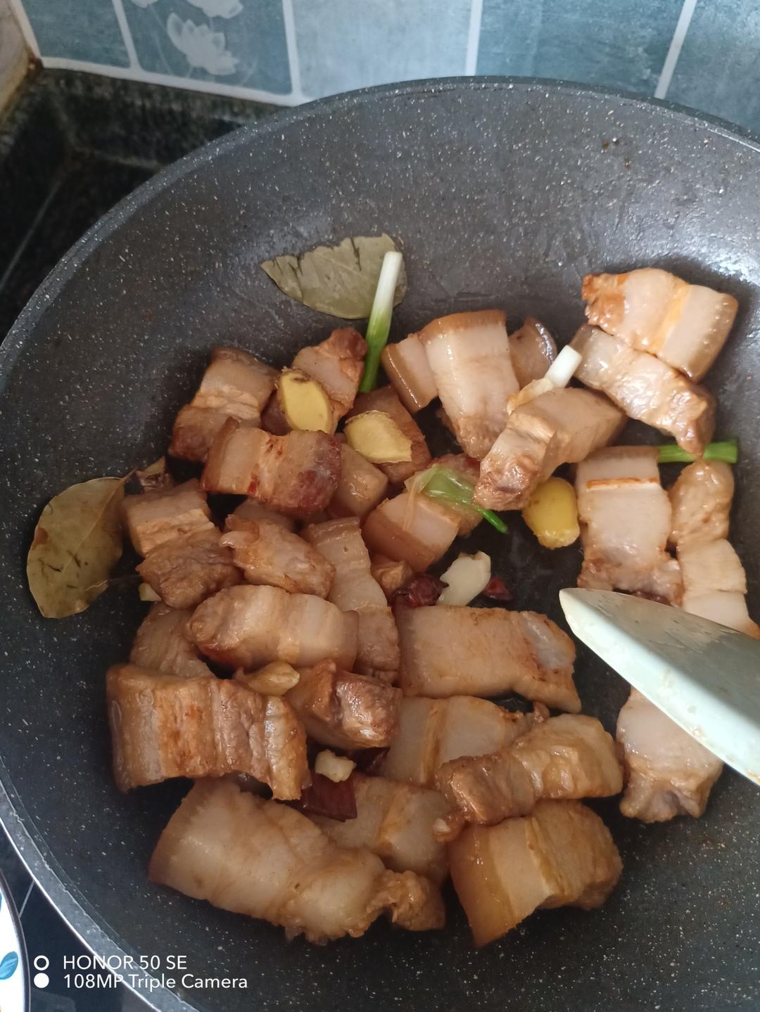 家常版的红烧肉（一点都不腻，软，糯)