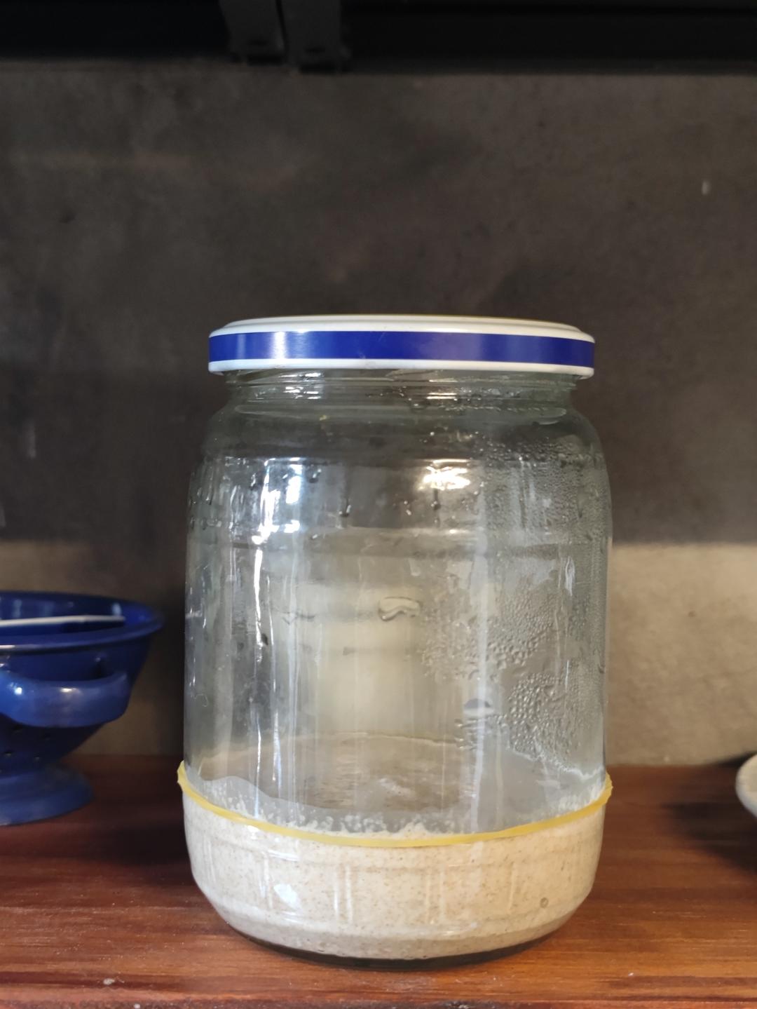 天然酵母鲁邦种培养日记（全麦面粉）成功