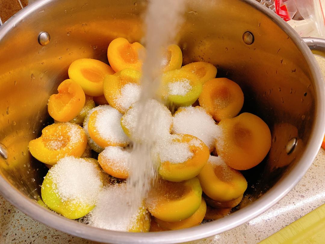 万能的黄杏酱的做法 步骤3