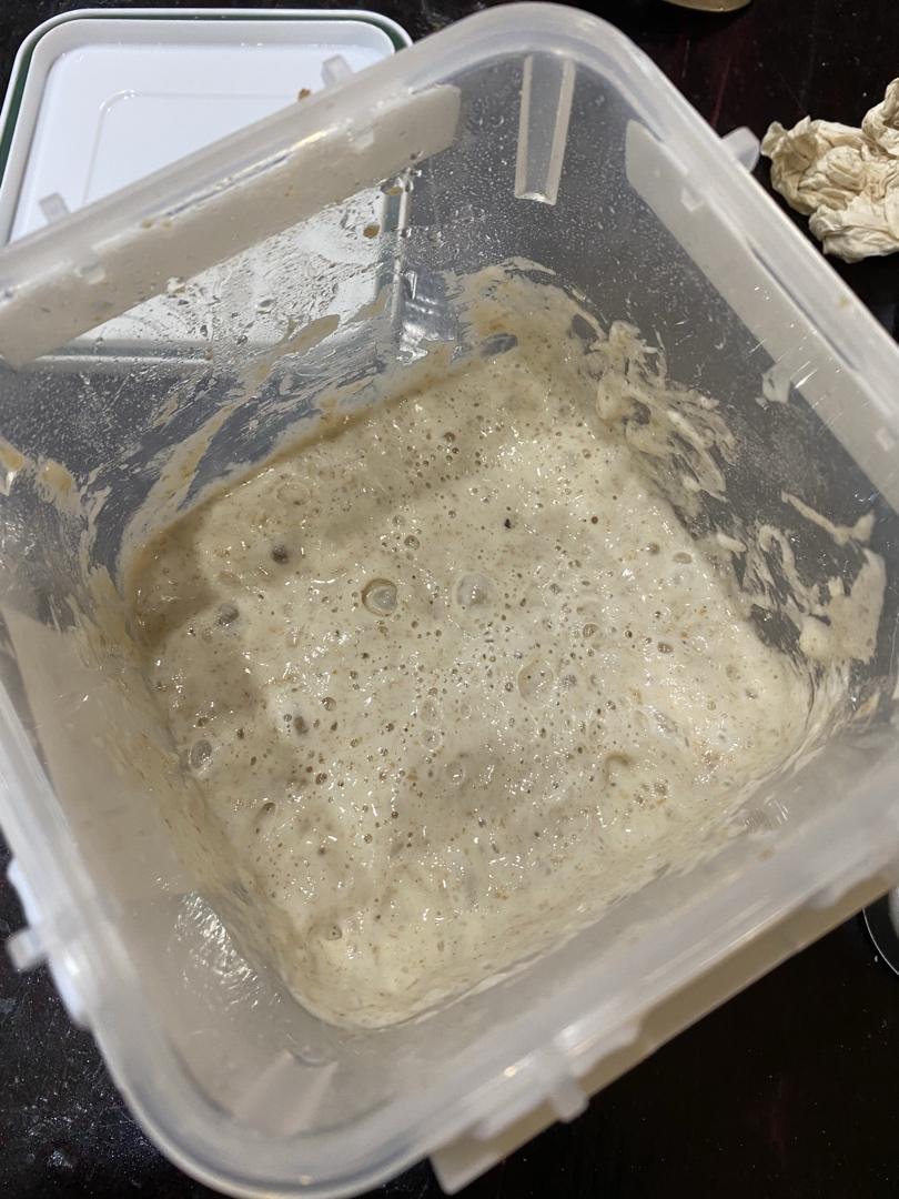 鲁邦液种