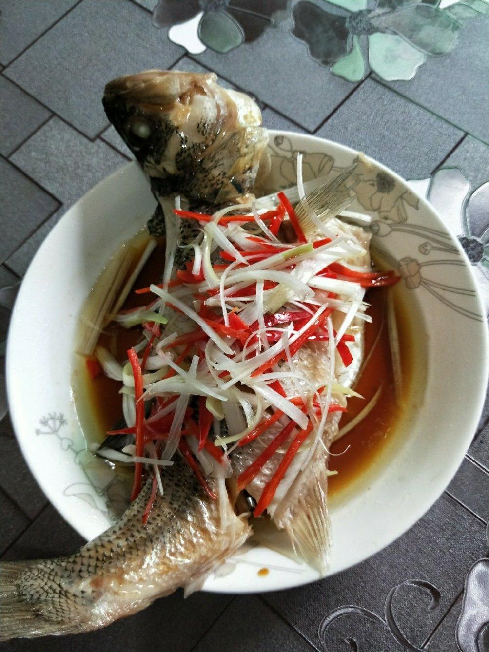 新手零失败的清蒸鲈鱼