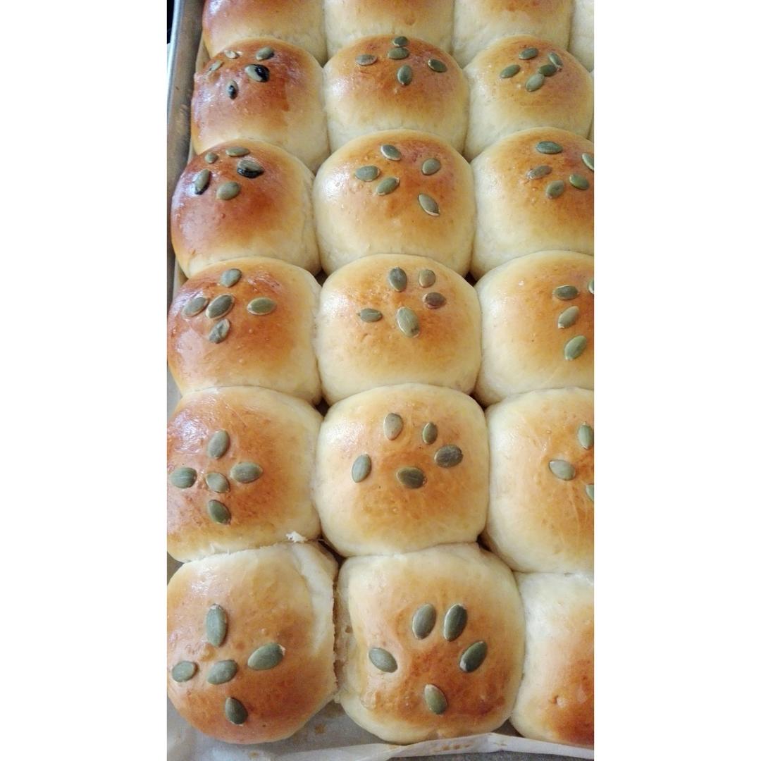 鲜奶油小餐包（一次发酵）